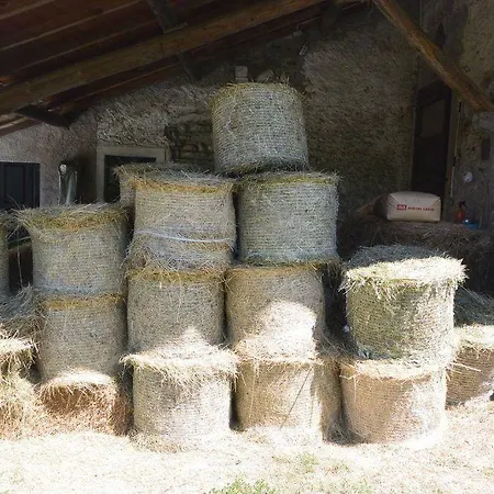 La Derta * 贝拉焦