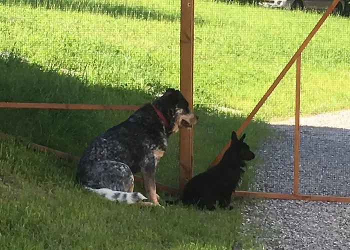 Alloggio per agriturismo La Derta